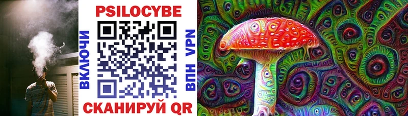 Галлюциногенные грибы мицелий  где купить   KRAKEN ссылки  Новоалександровск 