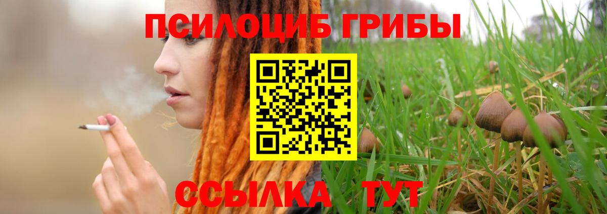 Псилоцибиновые грибы Magic Shrooms  Псилоцибиновые грибы MAGIC MUSHROOMS  купить наркотик  Вход с VPN  Новоалександровск 